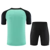 Chelsea FC Trenings T-skjorte Sett 2023-24 Grønn