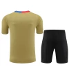 FC Barcelona Trenings T-skjorte Sett 2024-25 Gold