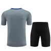 Inter Milan Trenings T-skjorte Sett 2024-25 Grå