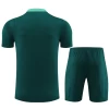 Portugal Trenings T-skjorte Sett 2024-25 Grønn