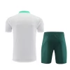 Portugal Trenings T-skjorte Sett 2024-25 Hvit