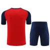 Spania Trenings T-skjorte Sett 2024-25 Rød