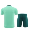 Tottenham Hotspur Trenings T-skjorte Sett 2024-25 Light Grønn
