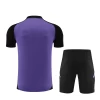 Tyskland Trenings T-skjorte Sett 2024-25 Purple
